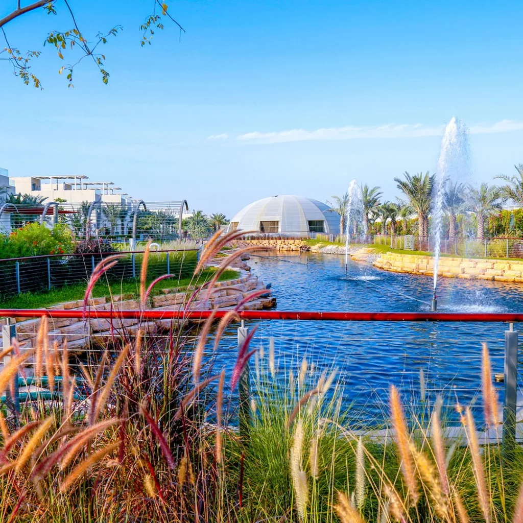 swimming pool contractors in dubai